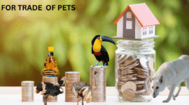 Exotic Pets Store