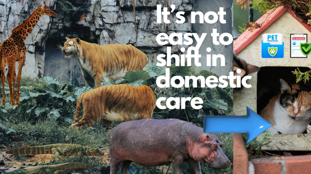 Exotic pets for sale in Texas
