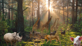 Petsusa-deer-zoo-_89_
