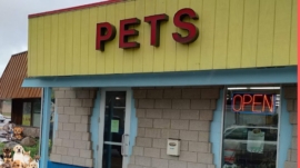 Exotic Pet Shop Near Me