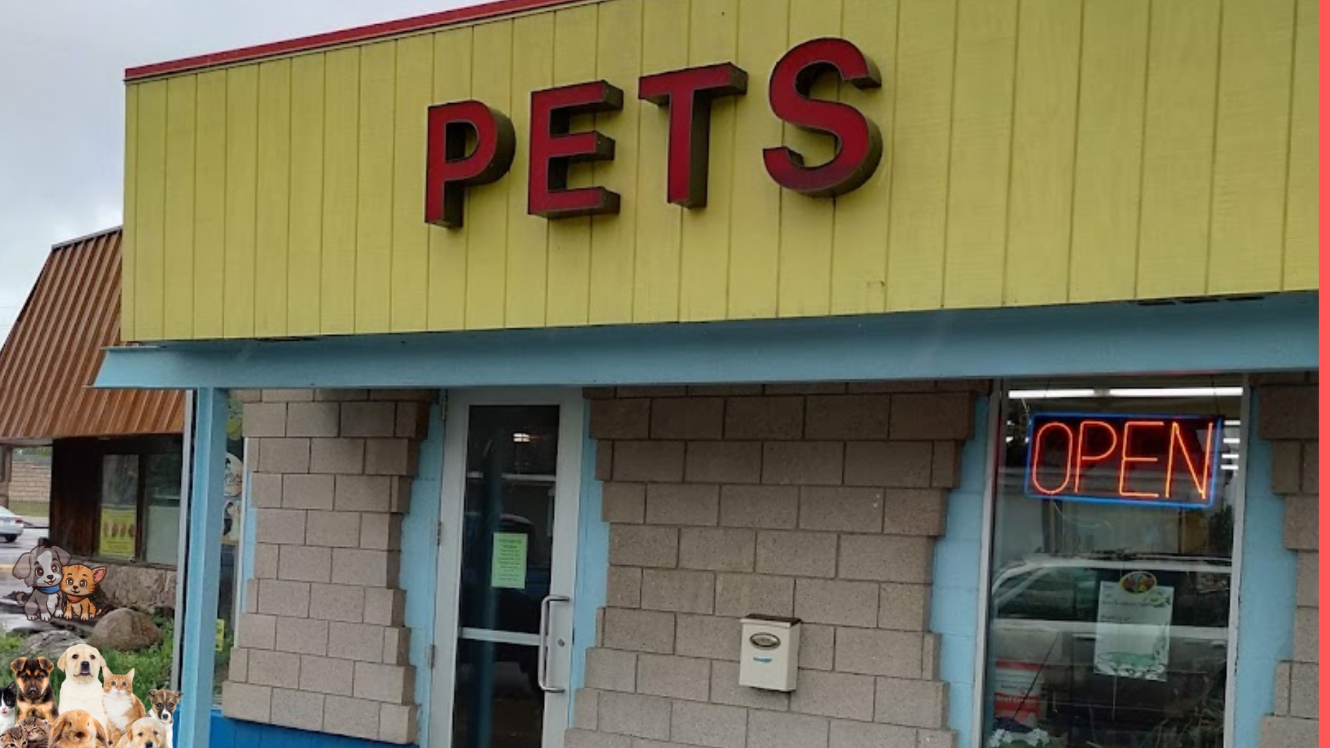 Exotic Pet Shop Near Me