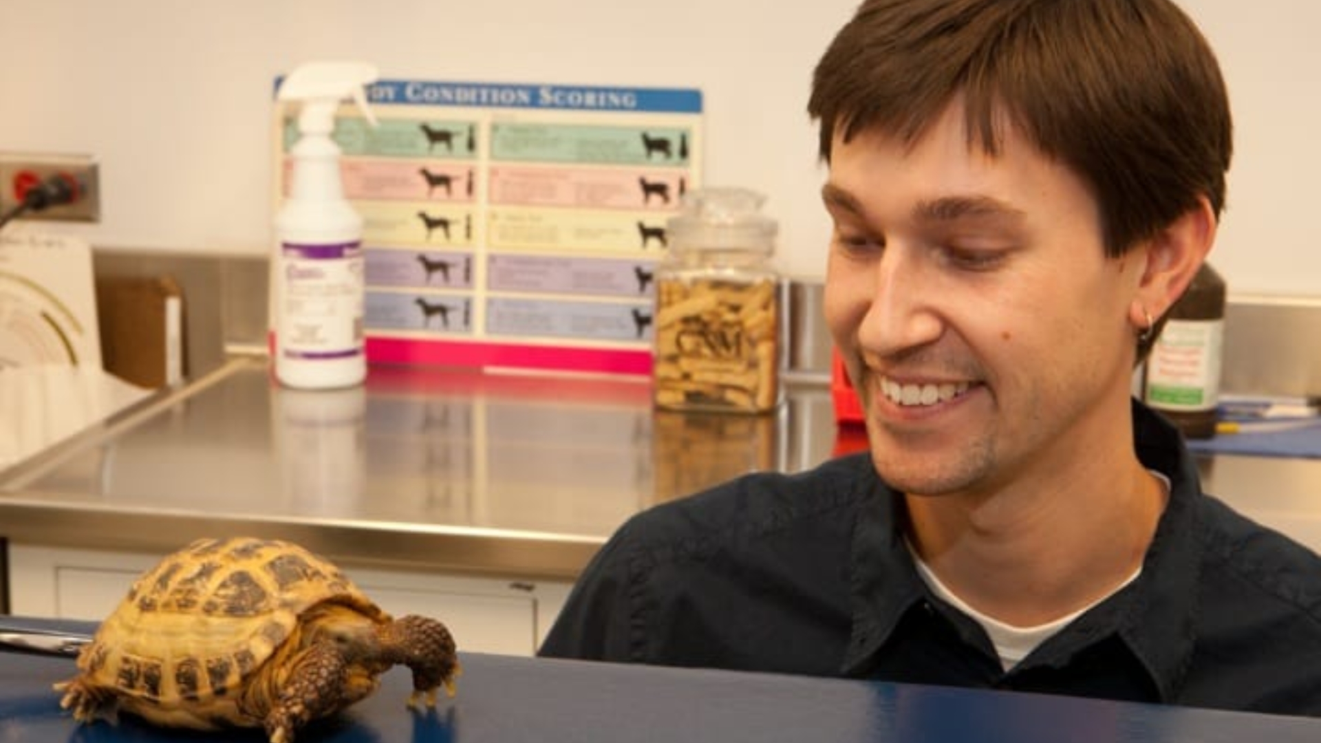 Exotic Pet Vet Near Me