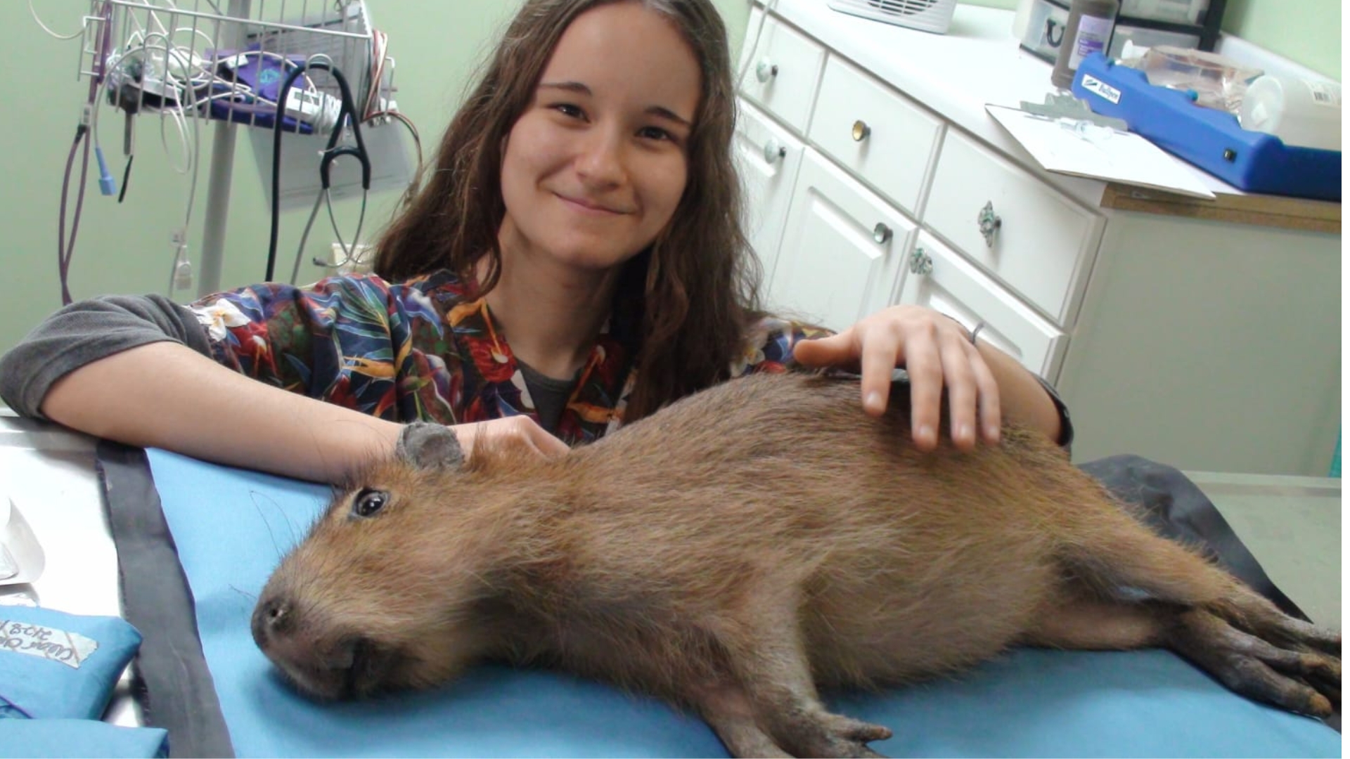 Exotic pet veterinarian near me