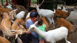 Smoky Mountain Deer Farm and Exotic Petting Zoo