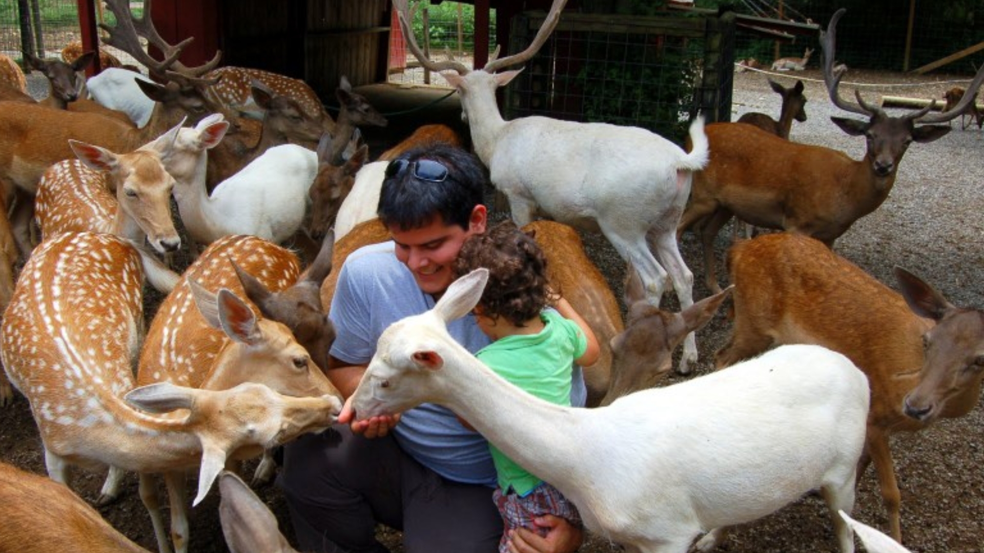 Smoky Mountain Deer Farm and Exotic Petting Zoo