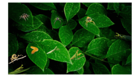 Untitled design (6)