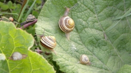 IMG-20250903-WA0007