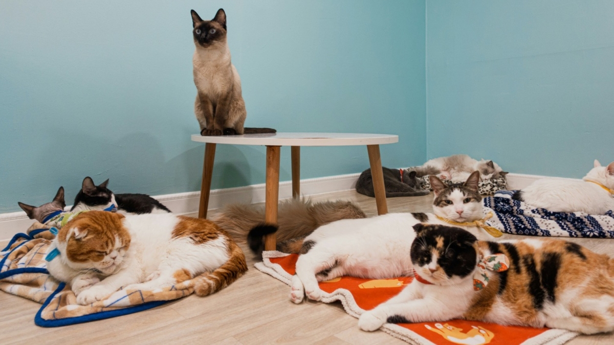 WhatsApp Image 2025-12-27 at 5.25.03 PM