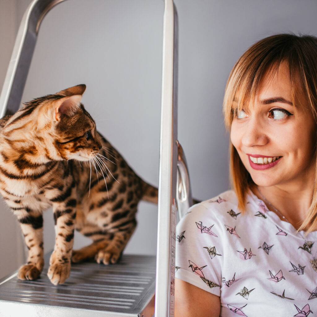 Serval Cat Profile & Care