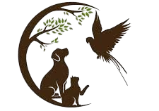 images__1_-removebg-preview