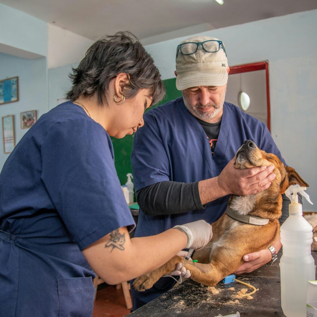 Exotic Pet Care Guide