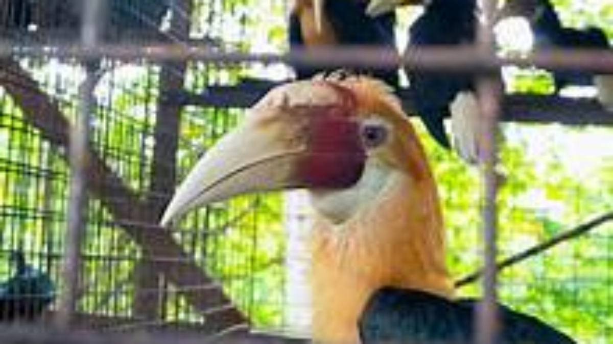 Good Names for Exotic Pets