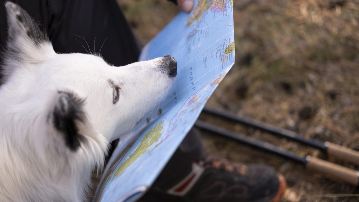 List of Exotic Pet Boarding Facilities