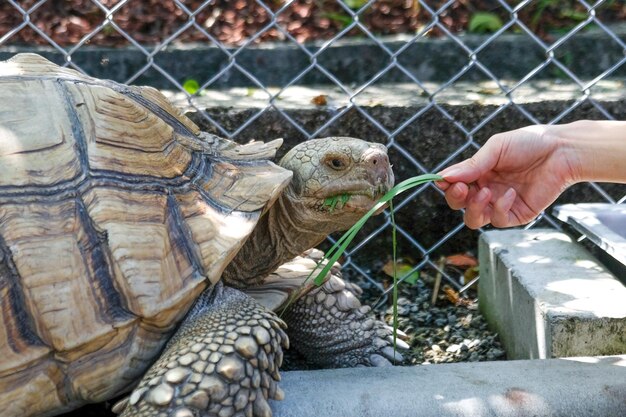 Exotic pet vet near me