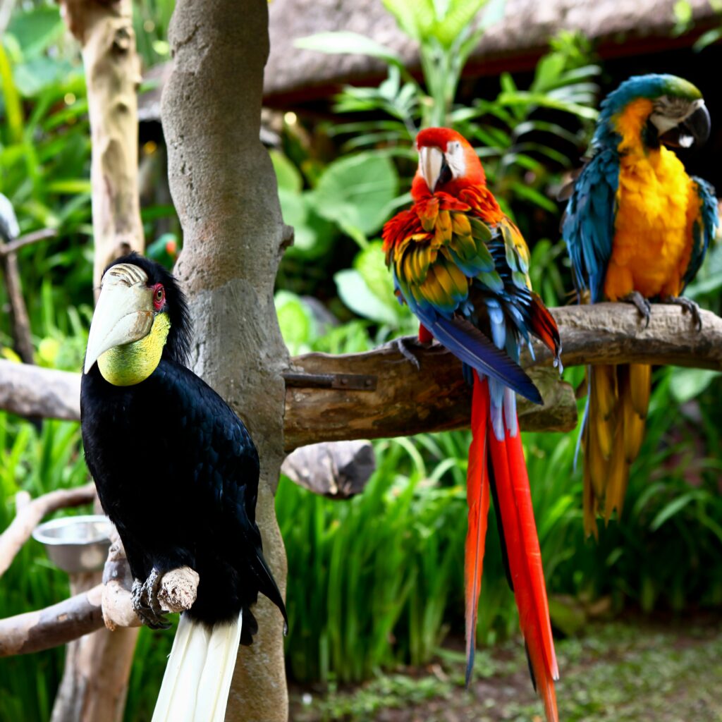 Exotic Tropical Pet World