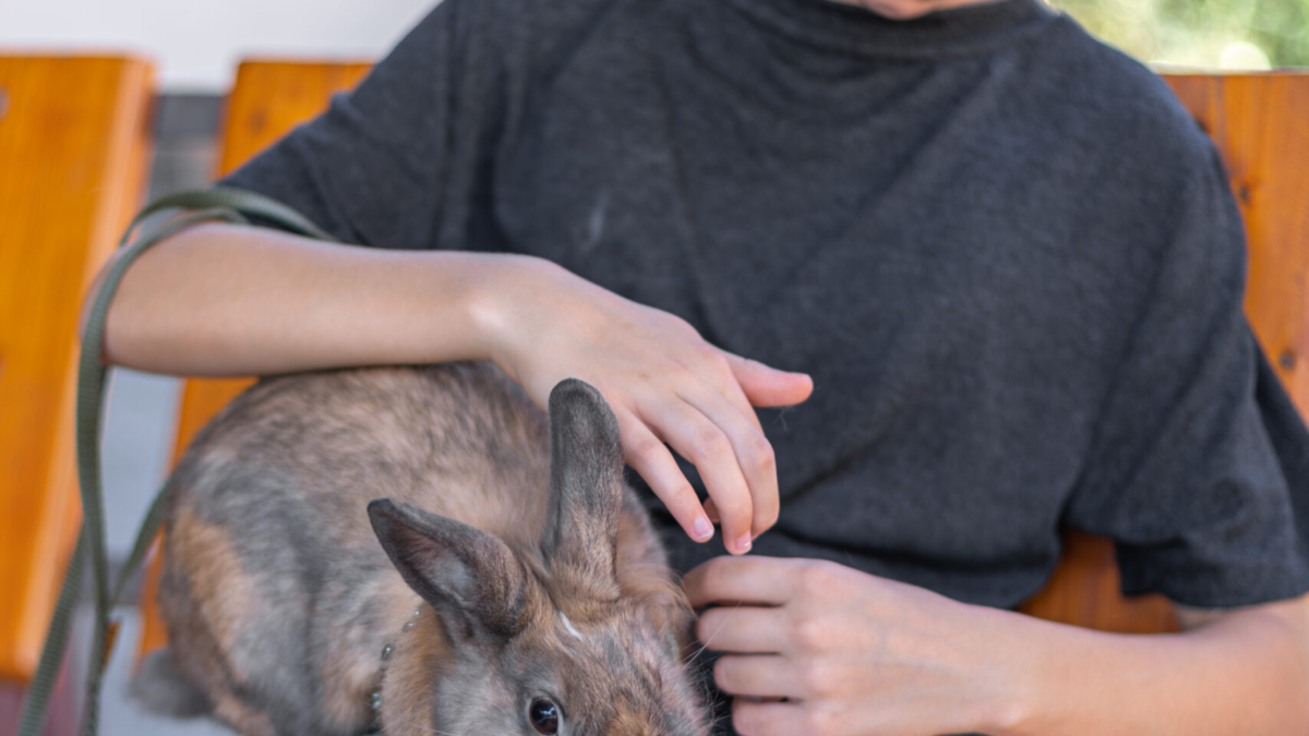 exotic pet vet near me