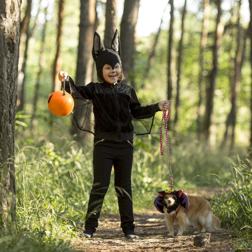 Protect Pets From Birds of Prey