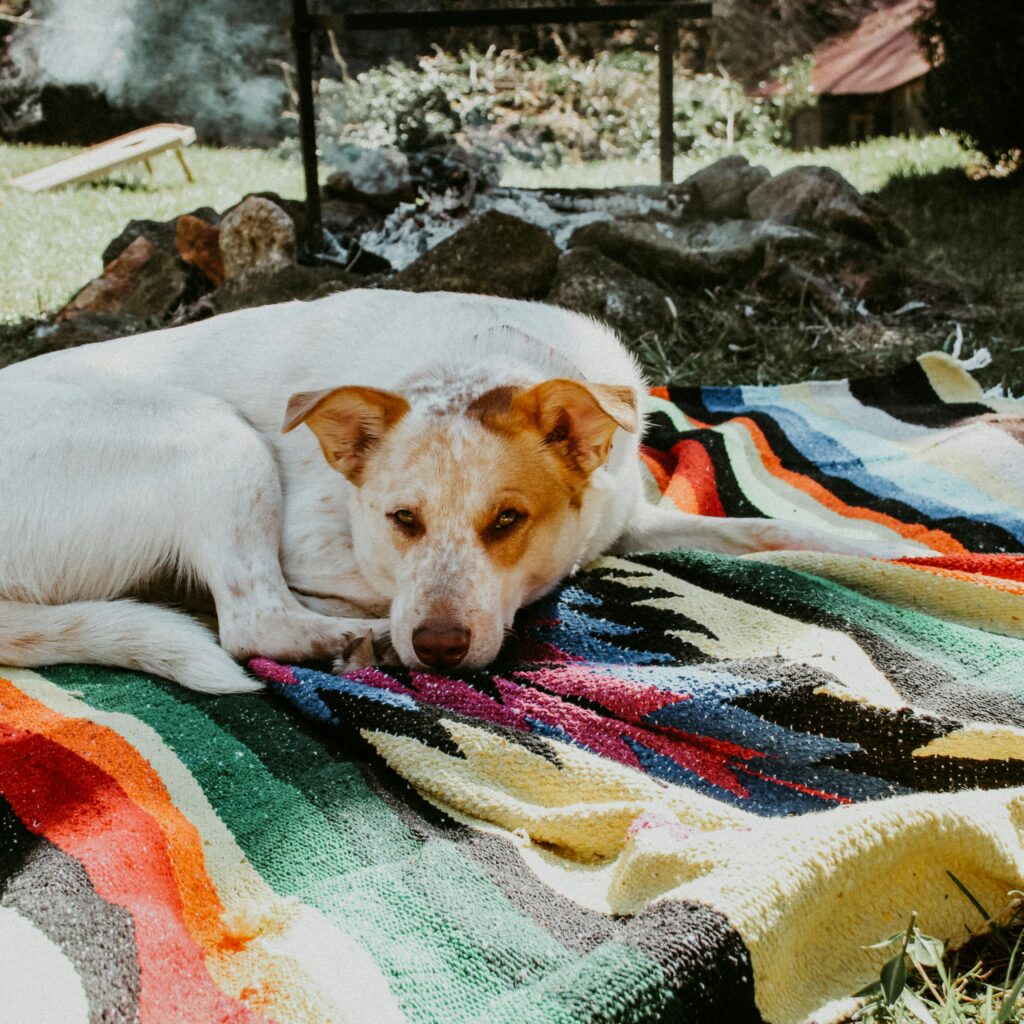 Land and Sea Exotic Pets