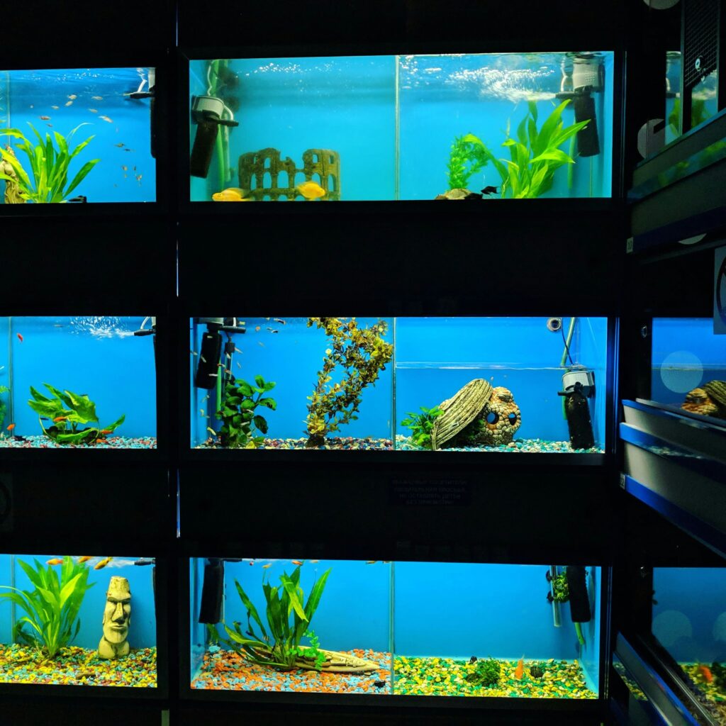 Land and Sea Exotic Pets