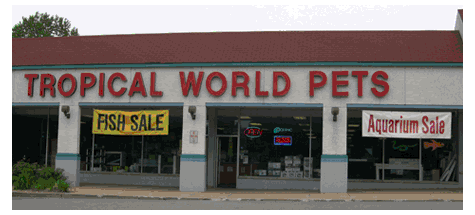 Exotic Tropical Pet World