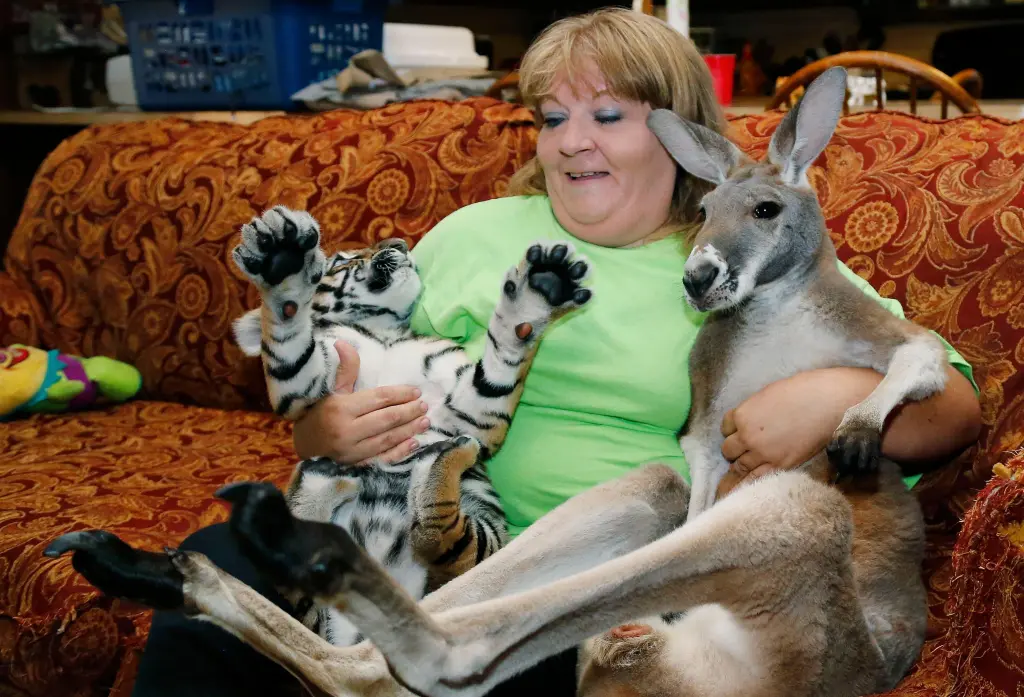 Exotic Animals as Pets