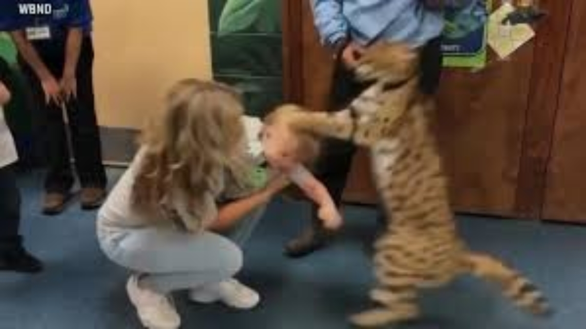 Exotic Animals Shouldn’t Be Pets