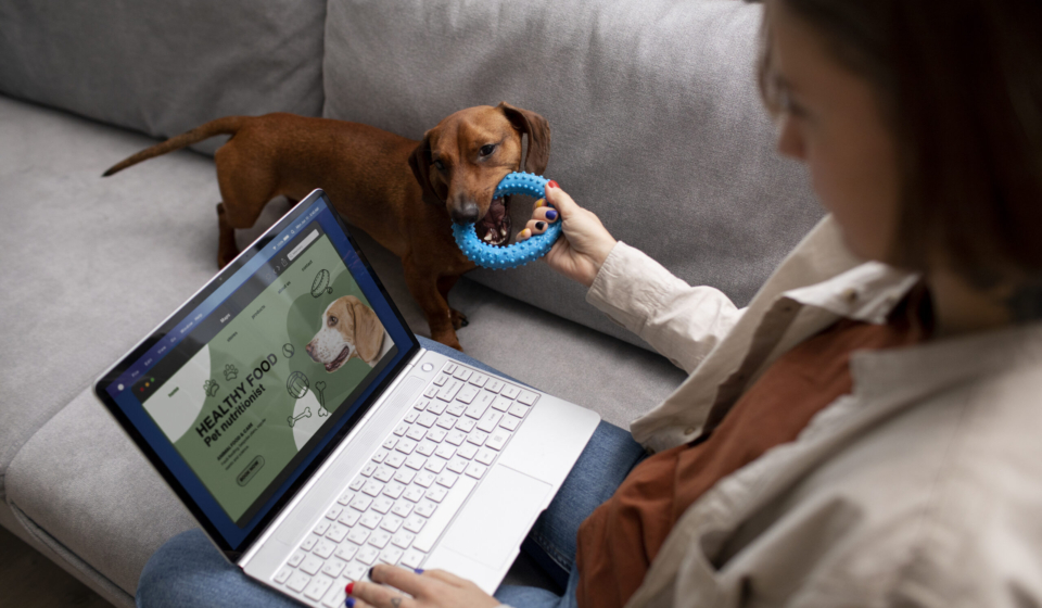 Exotic pet insurance