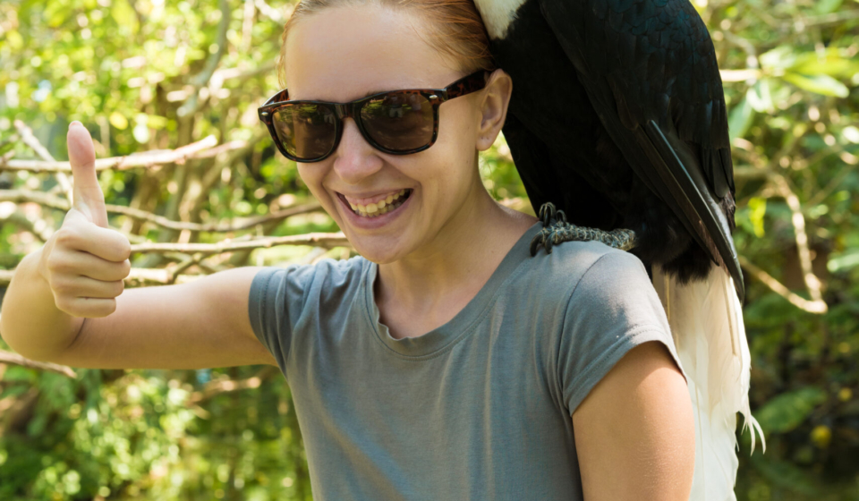 Should Exotic Animals Be Pets