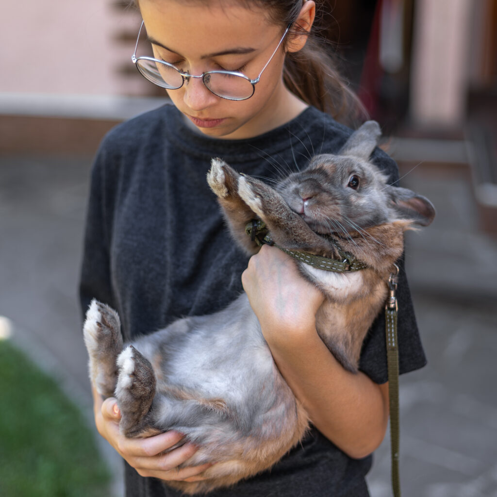 Should Exotic Animals Be Pets