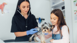 What to expect at your Dog’s first vet visit