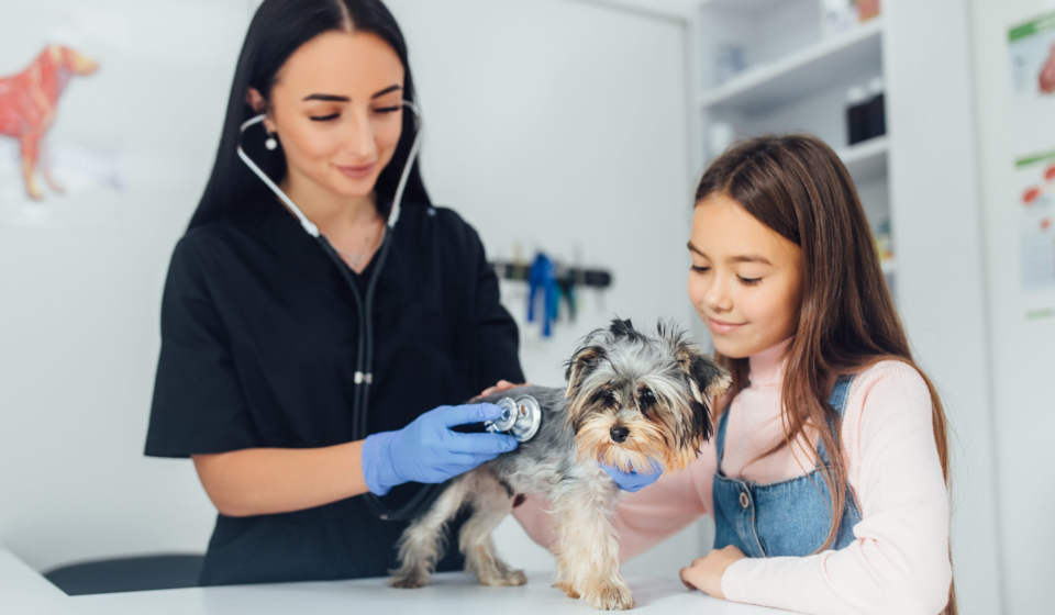 What to expect at your Dog’s first vet visit