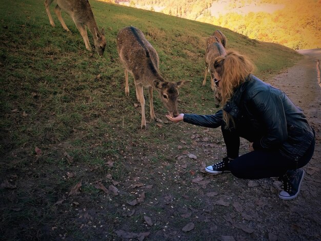 How Many Exotic Animals Are Kept As Pets