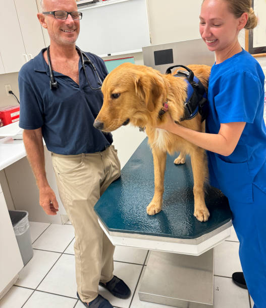 How Many Exotic Animals Are Kept As Pets
