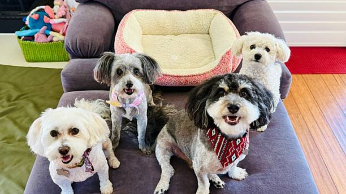 Miles Exotic Pet Rescue