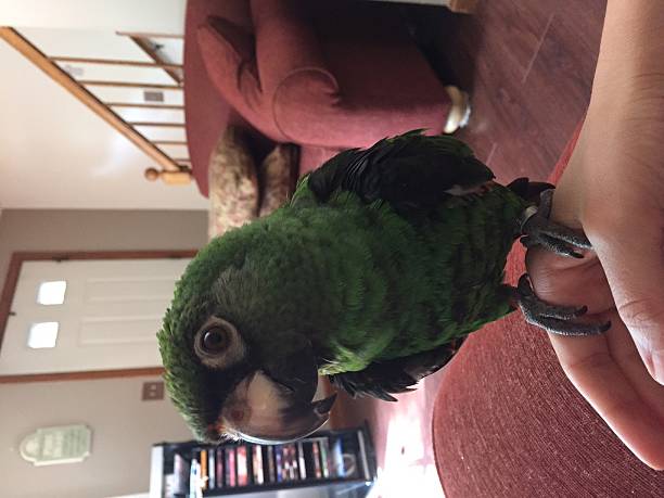 Miles Exotic Pet Rescue