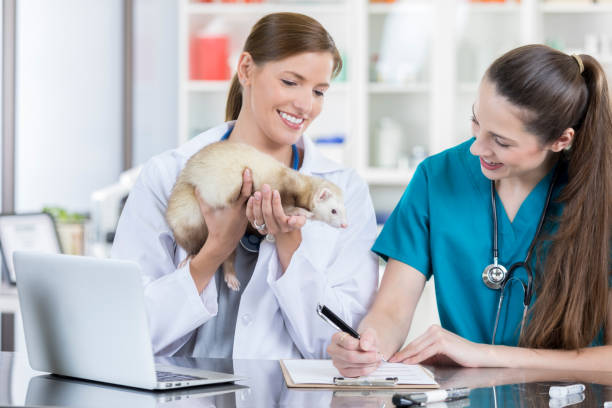 Exotic Pet Vet USA