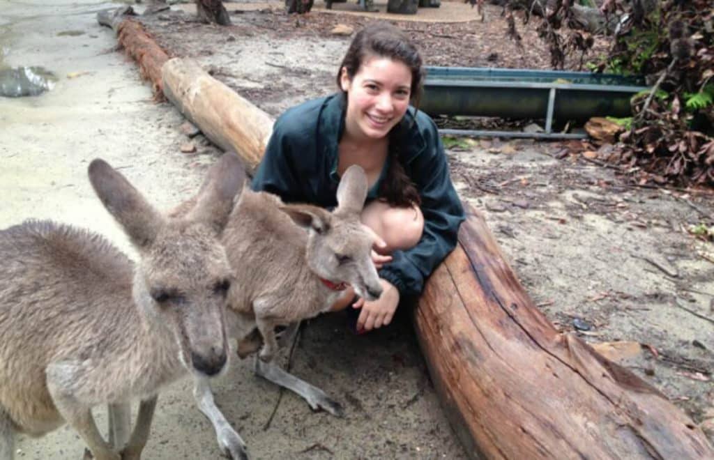 Should exotic animals be kept as pets?