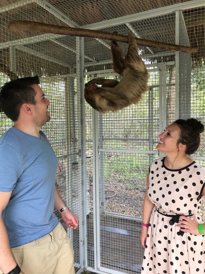 What exotic pets are legal in Arizona