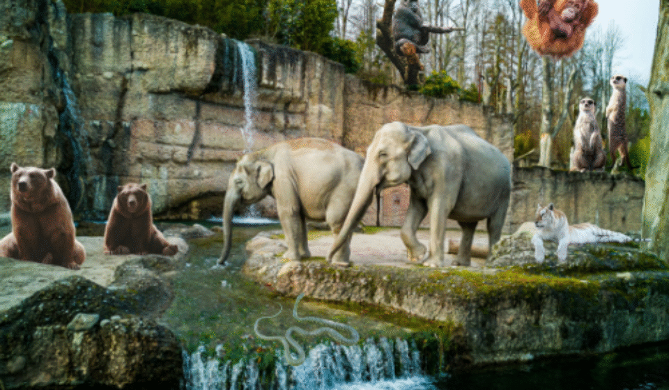 Legal Exotic Pets in Tennessee